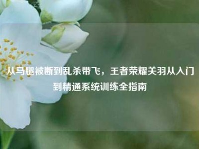从马腿被断到乱杀带飞，王者荣耀关羽从入门到精通系统训练全指南