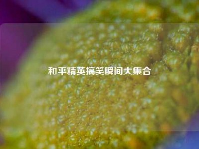 和平精英搞笑瞬间大集合