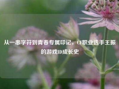 从一串字符到青春专属印记，CF职业选手王振的游戏ID成长史