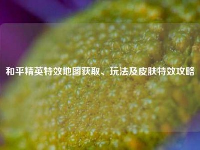 和平精英特效地图获取、玩法及皮肤特效攻略