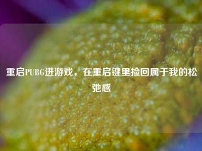 重启PUBG进游戏，在重启键里捡回属于我的松弛感
