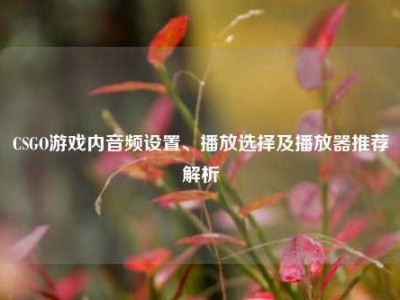 CSGO游戏内音频设置、播放选择及播放器推荐解析