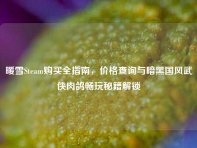 暖雪Steam购买全指南，价格查询与暗黑国风武侠肉鸽畅玩秘籍解锁