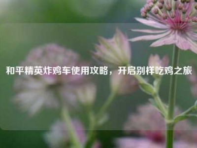 和平精英炸鸡车使用攻略，开启别样吃鸡之旅
