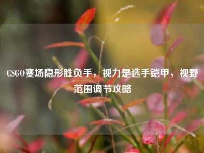 CSGO赛场隐形胜负手，视力是选手铠甲，视野范围调节攻略