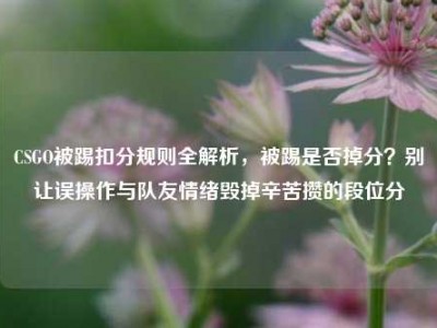 CSGO被踢扣分规则全解析，被踢是否掉分？别让误操作与队友情绪毁掉辛苦攒的段位分