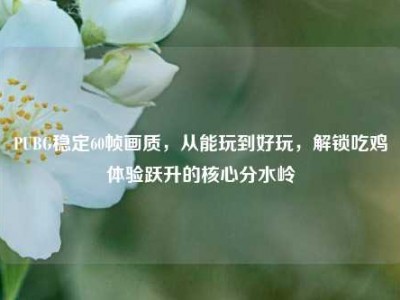 PUBG稳定60帧画质，从能玩到好玩，解锁吃鸡体验跃升的核心分水岭