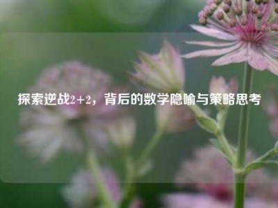 探索逆战2+2，背后的数学隐喻与策略思考