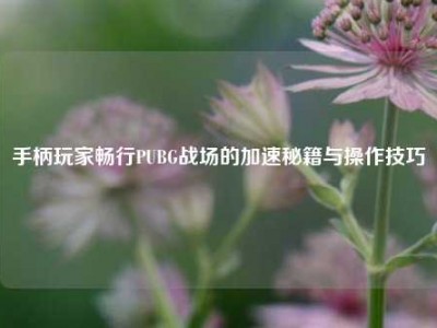 手柄玩家畅行PUBG战场的加速秘籍与操作技巧