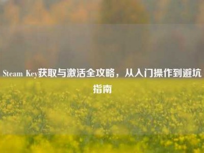Steam Key获取与激活全攻略，从入门操作到避坑指南