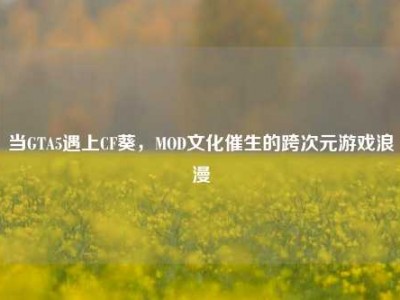 当GTA5遇上CF葵，MOD文化催生的跨次元游戏浪漫