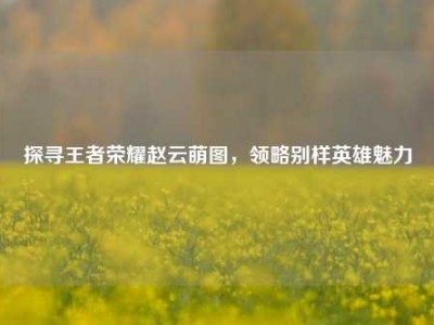探寻王者荣耀赵云萌图，领略别样英雄魅力