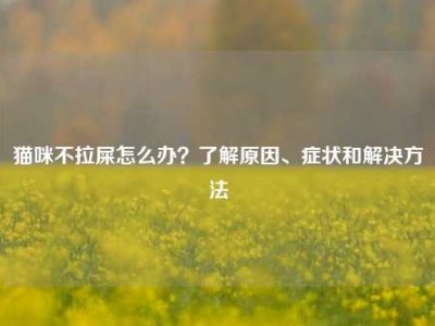 猫咪不拉屎怎么办？了解原因、症状和解决方法