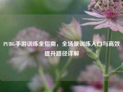 PUBG手游训练全指南，全场景训练入口与高效提升路径详解
