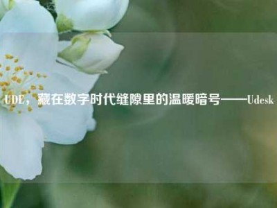 UDE，藏在数字时代缝隙里的温暖暗号——Udesk