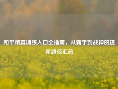 和平精英训练入口全指南，从新手到战神的进阶路径汇总
