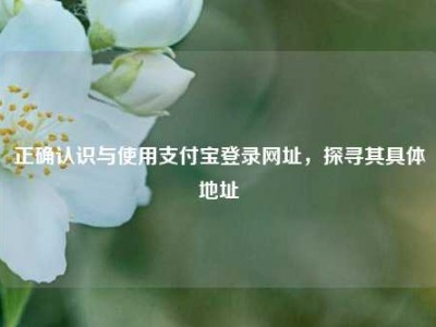 正确认识与使用支付宝登录网址，探寻其具体地址