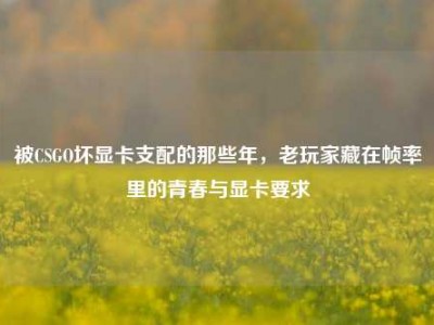 被CSGO坏显卡支配的那些年，老玩家藏在帧率里的青春与显卡要求