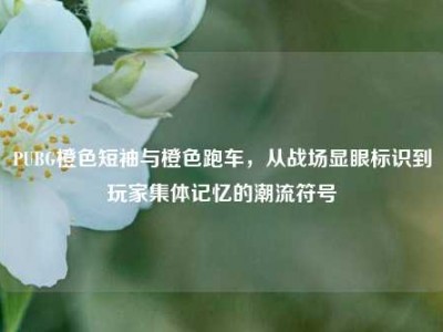 PUBG橙色短袖与橙色跑车，从战场显眼标识到玩家集体记忆的潮流符号