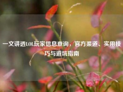 一文讲透LOL玩家信息查询，官方渠道、实用技巧与避坑指南