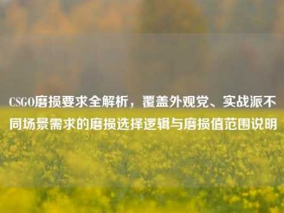CSGO磨损要求全解析，覆盖外观党、实战派不同场景需求的磨损选择逻辑与磨损值范围说明