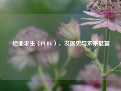 绝地求生（PUBG），发展史与未来展望