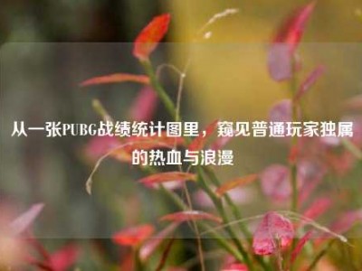 从一张PUBG战绩统计图里，窥见普通玩家独属的热血与浪漫