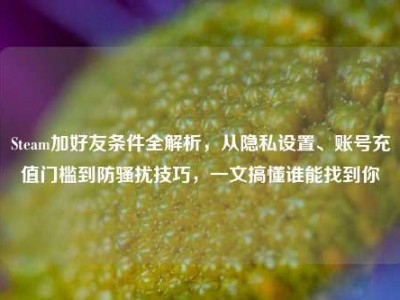 Steam加好友条件全解析，从隐私设置、账号充值门槛到防骚扰技巧，一文搞懂谁能找到你
