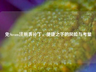 免Steam注册表补丁，便捷之下的风险与考量
