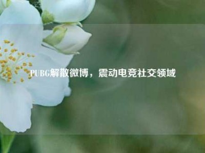 PUBG解散微博，震动电竞社交领域