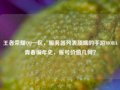 王者荣耀QQ一区，服务器列表顶端的手游MOBA青春编年史，账号价值几何？