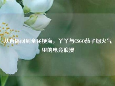 从直播间到全民梗海，丫丫与CSGO茄子烟火气里的电竞浪漫