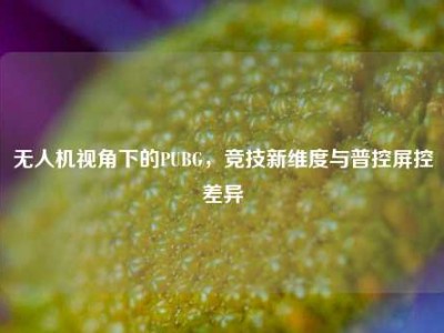无人机视角下的PUBG，竞技新维度与普控屏控差异