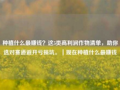 种植什么最赚钱？这5类高利润作物清单，助你选对赛道避开亏损坑。｜现在种植什么最赚钱