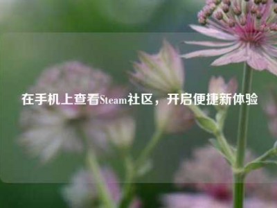 在手机上查看Steam社区，开启便捷新体验