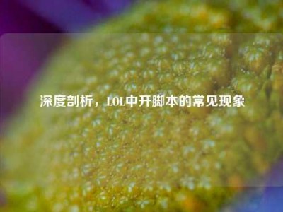 深度剖析，LOL中开脚本的常见现象