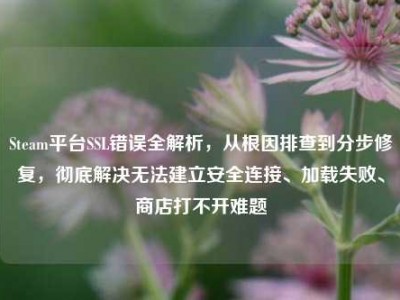 Steam平台SSL错误全解析，从根因排查到分步修复，彻底解决无法建立安全连接、加载失败、商店打不开难题