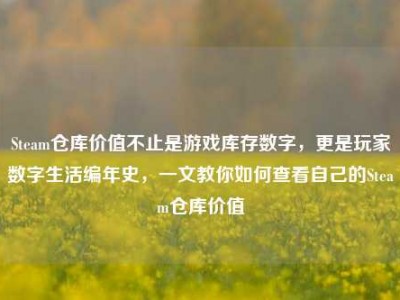 Steam仓库价值不止是游戏库存数字，更是玩家数字生活编年史，一文教你如何查看自己的Steam仓库价值