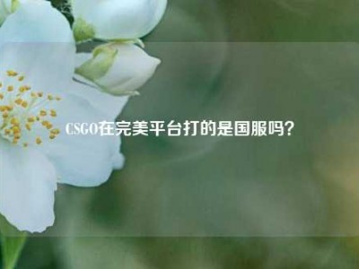 CSGO在完美平台打的是国服吗？