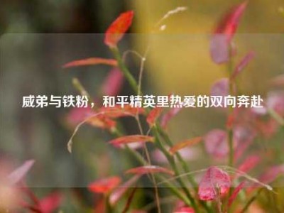 威弟与铁粉，和平精英里热爱的双向奔赴