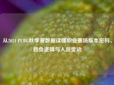 从2024 PUBG秋季赛数据读懂职业赛场版本密码、胜负逻辑与人员变动