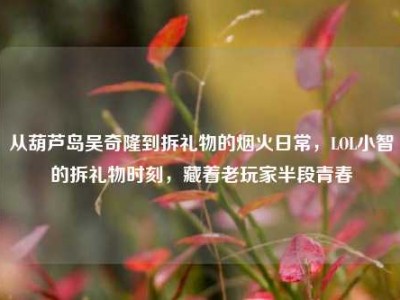从葫芦岛吴奇隆到拆礼物的烟火日常，LOL小智的拆礼物时刻，藏着老玩家半段青春