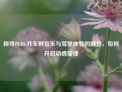 探寻PUBG开车时音乐与驾驶体验的融合，如何开启动感旋律
