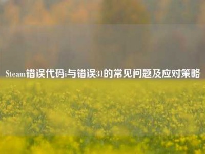 Steam错误代码i与错误31的常见问题及应对策略