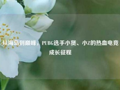 从海岛到巅峰，PUBG选手小贤、小Z的热血电竞成长征程