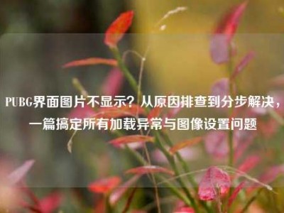 PUBG界面图片不显示？从原因排查到分步解决，一篇搞定所有加载异常与图像设置问题
