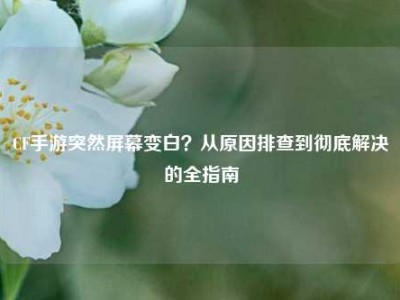 CF手游突然屏幕变白？从原因排查到彻底解决的全指南