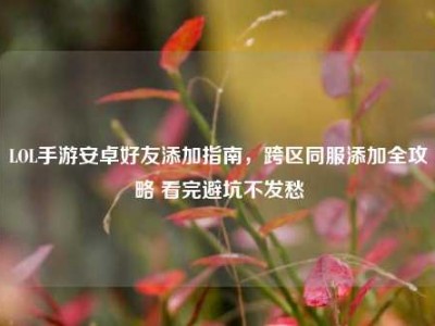 LOL手游安卓好友添加指南，跨区同服添加全攻略 看完避坑不发愁