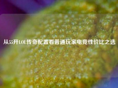 从55开LOL传奇配置看普通玩家电竞性价比之选