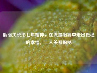 鹿晗关晓彤七年相伴，在流量喧嚣中走出稳稳的幸福，二人关系揭秘